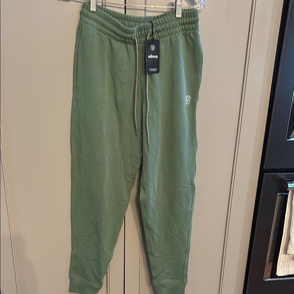 NWT! Allbirds R&R Hazy Pine Green Sweatpants Jogger Pants Size medium - Picture 1 of 8